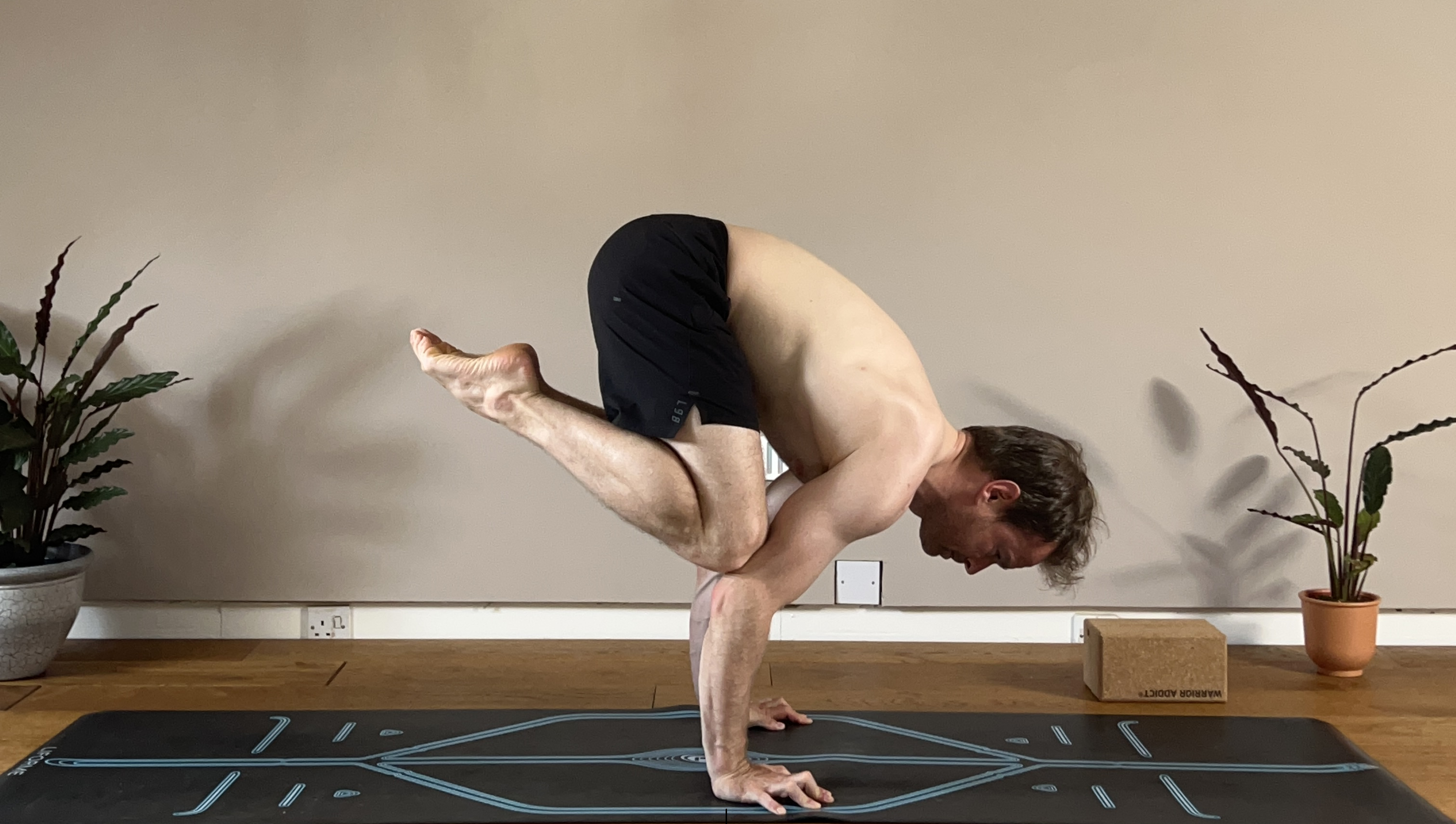 Crow Pose & Crane Pose: The Complete Beginner's Guide