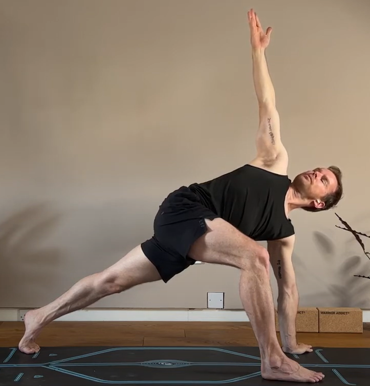 Side Plank (Easy Twist Pose) Easy Twist Pose