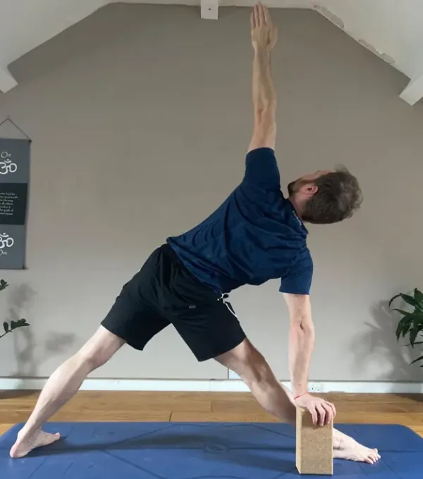 Compass Pose is a great posture to help increase flexibility in your hips. This posture has a few similarities with Bird of Paradise especially in regards to the hips focus. The benefit of adding this posture into your practice for Bird of Paradise is that it brings an opening to the hips and also takes out the challenge of the balance allowing the practitioner to solely focus on hip flexibility. Trikonasana (Triangle Pose) with a block: