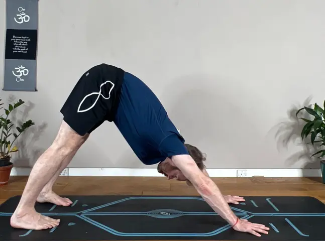 Downward-Facing Dog Downward-Facing Dog is an Exercise to strengthen lower back