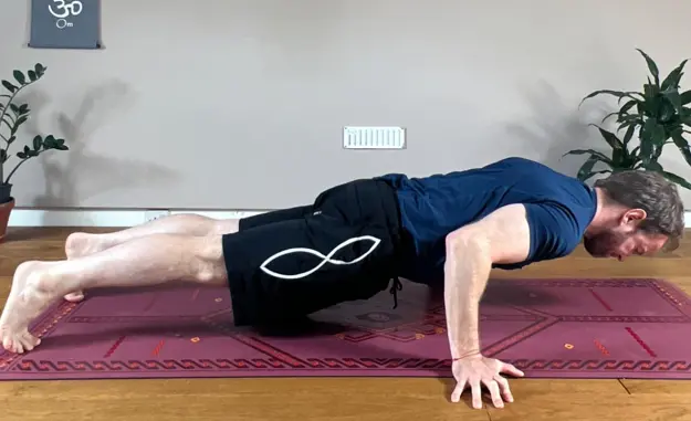 Chaturanga Dandasana (Variation for Mayurasana Preparation)