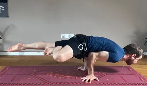 Eka Pada Mayurasana - Single Leg Peacock Pose