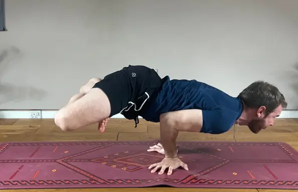 Padma Mayurasana - Lotus Peacock Pose