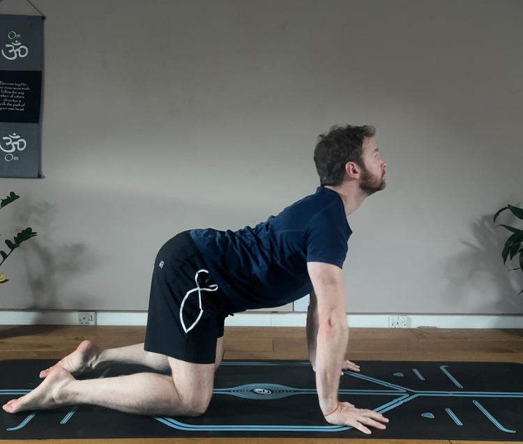 Cow Pose