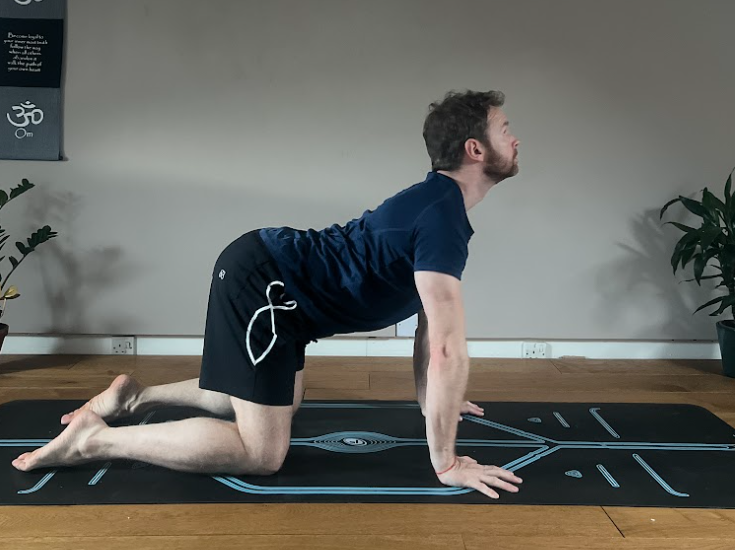 Cow Pose