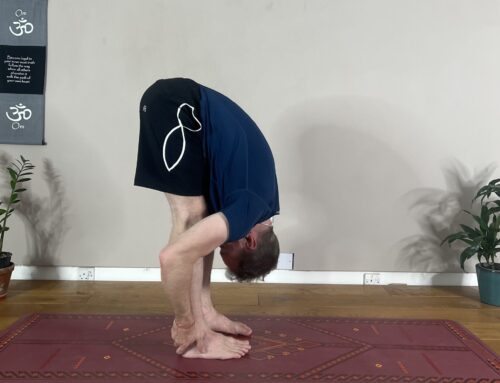 Experience the Benefits of Standing Forward Bend (Uttanasana): Stretch Your Body and Calm Your Mind.