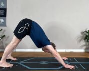 Downward-Facing Dog (Adho Mukha Svanasana)