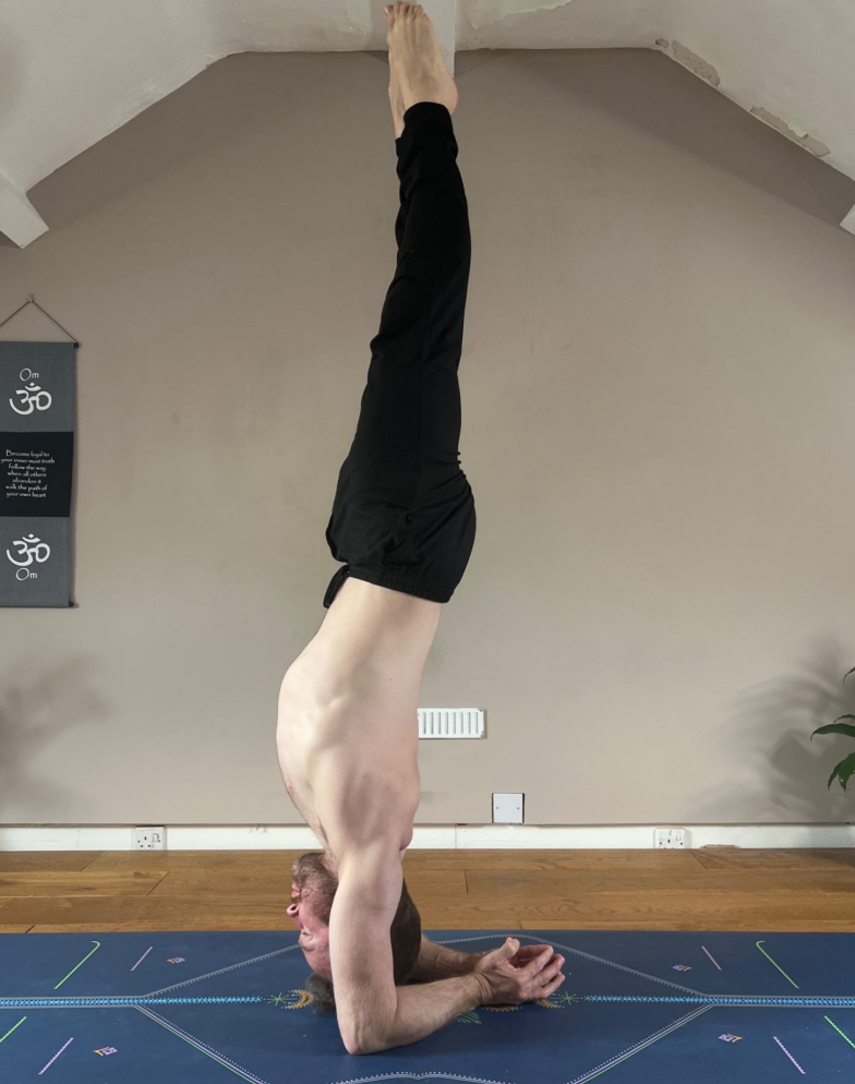 Pincha Mayurasana Pincha Mayurasana