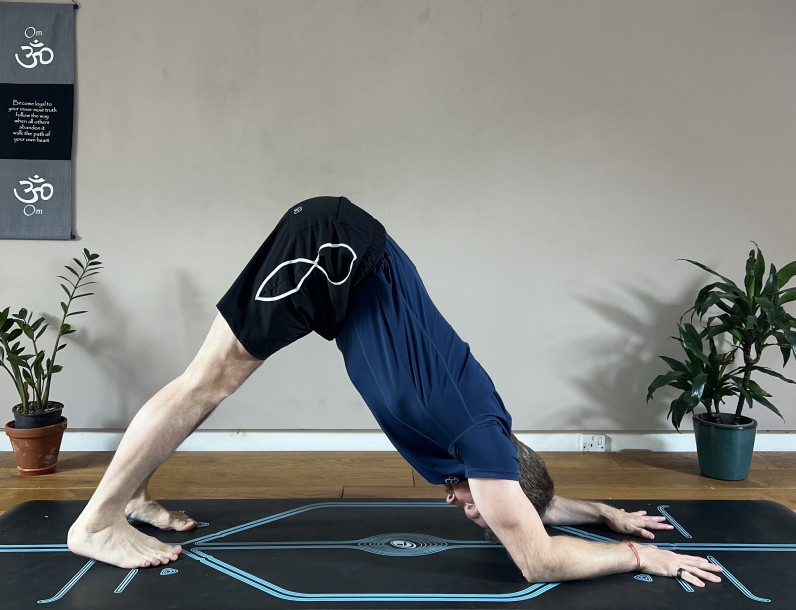 Dolphin Pose