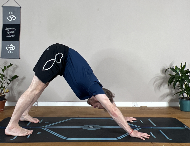 Downward Dog