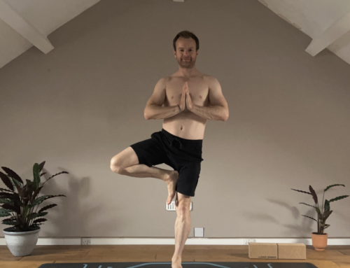 Root Into Stillness: Exploring the Wisdom of Tree Pose
