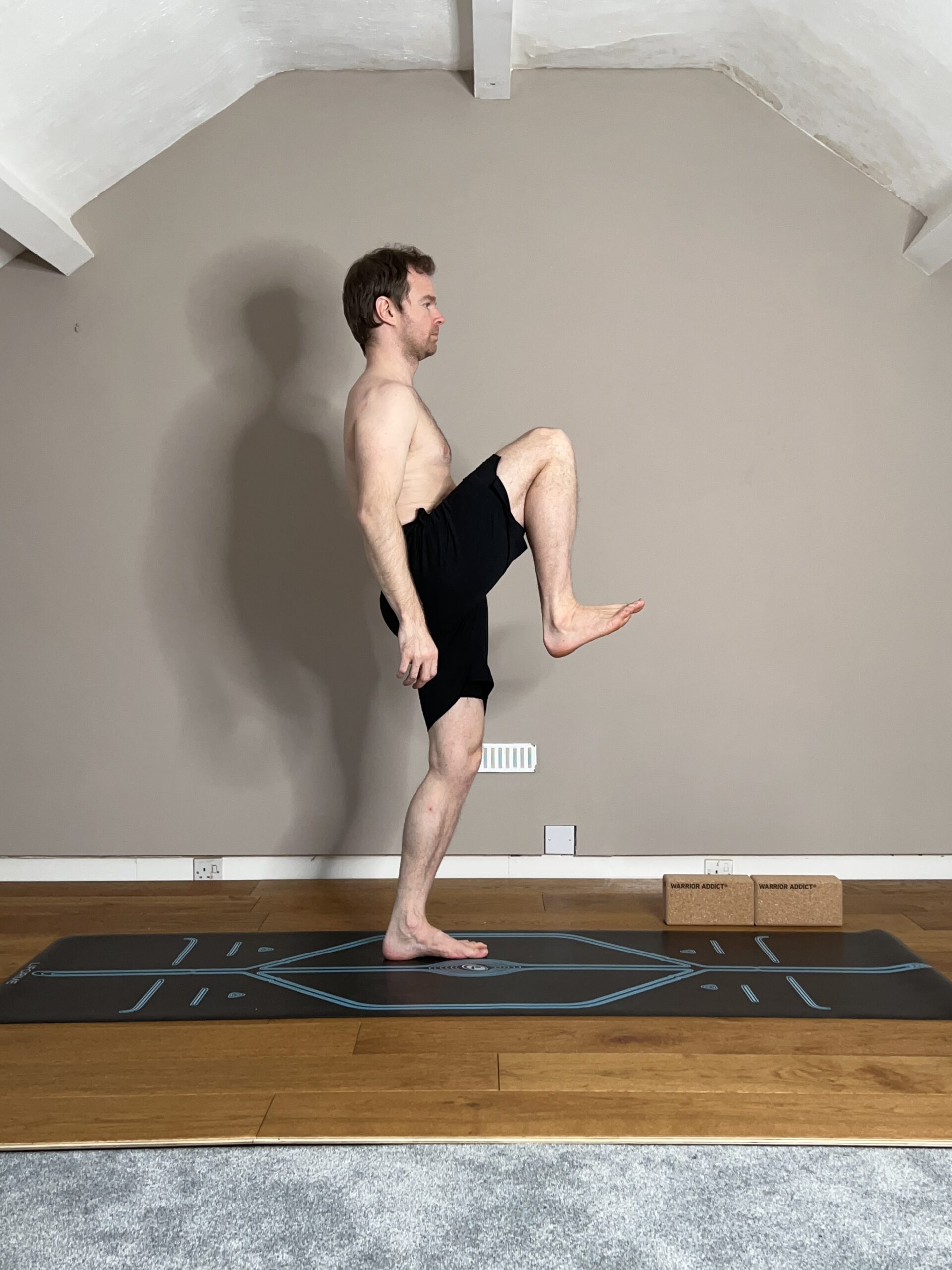 Hip Flexion
